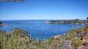 ./images/calvert/foggy-cove/20260912/foggy-cove20260912_114501M.jpg