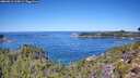 ./images/calvert/foggy-cove/20260912/foggy-cove20260912_115001M.jpg