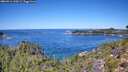 ./images/calvert/foggy-cove/20260912/foggy-cove20260912_120501M.jpg