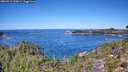 ./images/calvert/foggy-cove/20260912/foggy-cove20260912_121001M.jpg