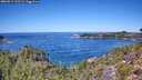 ./images/calvert/foggy-cove/20260912/foggy-cove20260912_122501M.jpg