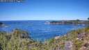 ./images/calvert/foggy-cove/20260912/foggy-cove20260912_123002M.jpg