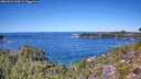 ./images/calvert/foggy-cove/20260912/foggy-cove20260912_124501M.jpg