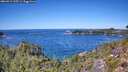 ./images/calvert/foggy-cove/20260912/foggy-cove20260912_125501M.jpg