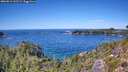./images/calvert/foggy-cove/20260912/foggy-cove20260912_132501M.jpg