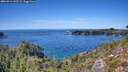./images/calvert/foggy-cove/20260912/foggy-cove20260912_143502M.jpg