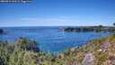 ./images/calvert/foggy-cove/20260912/foggy-cove20260912_144501M.jpg