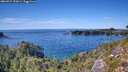 ./images/calvert/foggy-cove/20260912/foggy-cove20260912_151001M.jpg
