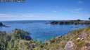 ./images/calvert/foggy-cove/20260912/foggy-cove20260912_154002M.jpg