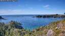 ./images/calvert/foggy-cove/20260912/foggy-cove20260912_155501M.jpg