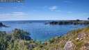 ./images/calvert/foggy-cove/20260912/foggy-cove20260912_160501M.jpg
