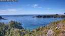 ./images/calvert/foggy-cove/20260912/foggy-cove20260912_161001M.jpg