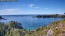 ./images/calvert/foggy-cove/20260912/foggy-cove20260912_161501M.jpg