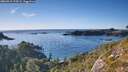 ./images/calvert/foggy-cove/20260912/foggy-cove20260912_174501M.jpg