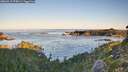 ./images/calvert/foggy-cove/20260913/foggy-cove20260913_075001M.jpg