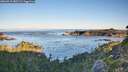 ./images/calvert/foggy-cove/20260913/foggy-cove20260913_080501M.jpg