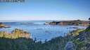 ./images/calvert/foggy-cove/20260913/foggy-cove20260913_082002M.jpg