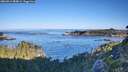 ./images/calvert/foggy-cove/20260913/foggy-cove20260913_084001M.jpg
