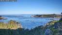 ./images/calvert/foggy-cove/20260913/foggy-cove20260913_084501M.jpg