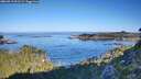 ./images/calvert/foggy-cove/20260913/foggy-cove20260913_091501M.jpg