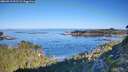 ./images/calvert/foggy-cove/20260913/foggy-cove20260913_092501M.jpg