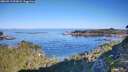./images/calvert/foggy-cove/20260913/foggy-cove20260913_093001M.jpg