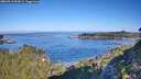 ./images/calvert/foggy-cove/20260913/foggy-cove20260913_094502M.jpg