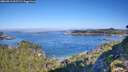 ./images/calvert/foggy-cove/20260913/foggy-cove20260913_095501M.jpg