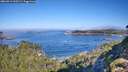 ./images/calvert/foggy-cove/20260913/foggy-cove20260913_100501M.jpg