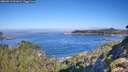 ./images/calvert/foggy-cove/20260913/foggy-cove20260913_101001M.jpg
