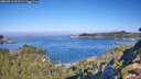 ./images/calvert/foggy-cove/20260913/foggy-cove20260913_101501M.jpg