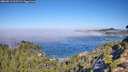 ./images/calvert/foggy-cove/20260913/foggy-cove20260913_103501M.jpg