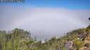 ./images/calvert/foggy-cove/20260913/foggy-cove20260913_113001M.jpg