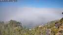 ./images/calvert/foggy-cove/20260913/foggy-cove20260913_114001M.jpg
