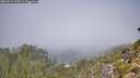./images/calvert/foggy-cove/20260913/foggy-cove20260913_114501M.jpg