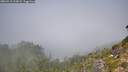 ./images/calvert/foggy-cove/20260913/foggy-cove20260913_115001M.jpg