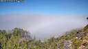 ./images/calvert/foggy-cove/20260913/foggy-cove20260913_121501M.jpg