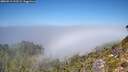./images/calvert/foggy-cove/20260913/foggy-cove20260913_123501M.jpg