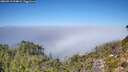 ./images/calvert/foggy-cove/20260913/foggy-cove20260913_124001M.jpg