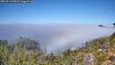 ./images/calvert/foggy-cove/20260913/foggy-cove20260913_125001M.jpg