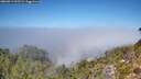 ./images/calvert/foggy-cove/20260913/foggy-cove20260913_125501M.jpg
