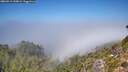 ./images/calvert/foggy-cove/20260913/foggy-cove20260913_130001M.jpg