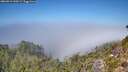 ./images/calvert/foggy-cove/20260913/foggy-cove20260913_130501M.jpg