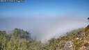 ./images/calvert/foggy-cove/20260913/foggy-cove20260913_131001M.jpg