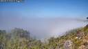 ./images/calvert/foggy-cove/20260913/foggy-cove20260913_131501M.jpg