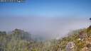 ./images/calvert/foggy-cove/20260913/foggy-cove20260913_132501M.jpg