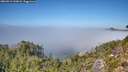 ./images/calvert/foggy-cove/20260913/foggy-cove20260913_133001M.jpg