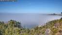 ./images/calvert/foggy-cove/20260913/foggy-cove20260913_133502M.jpg