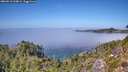 ./images/calvert/foggy-cove/20260913/foggy-cove20260913_134001M.jpg