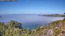 ./images/calvert/foggy-cove/20260913/foggy-cove20260913_134501M.jpg